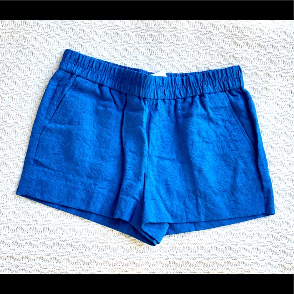 New Women’s JCREW Knit Shorts